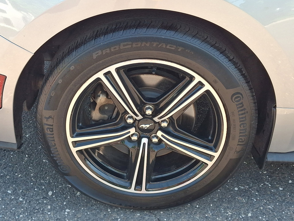 Used 2024 Ford Mustang Premium RWD image 15