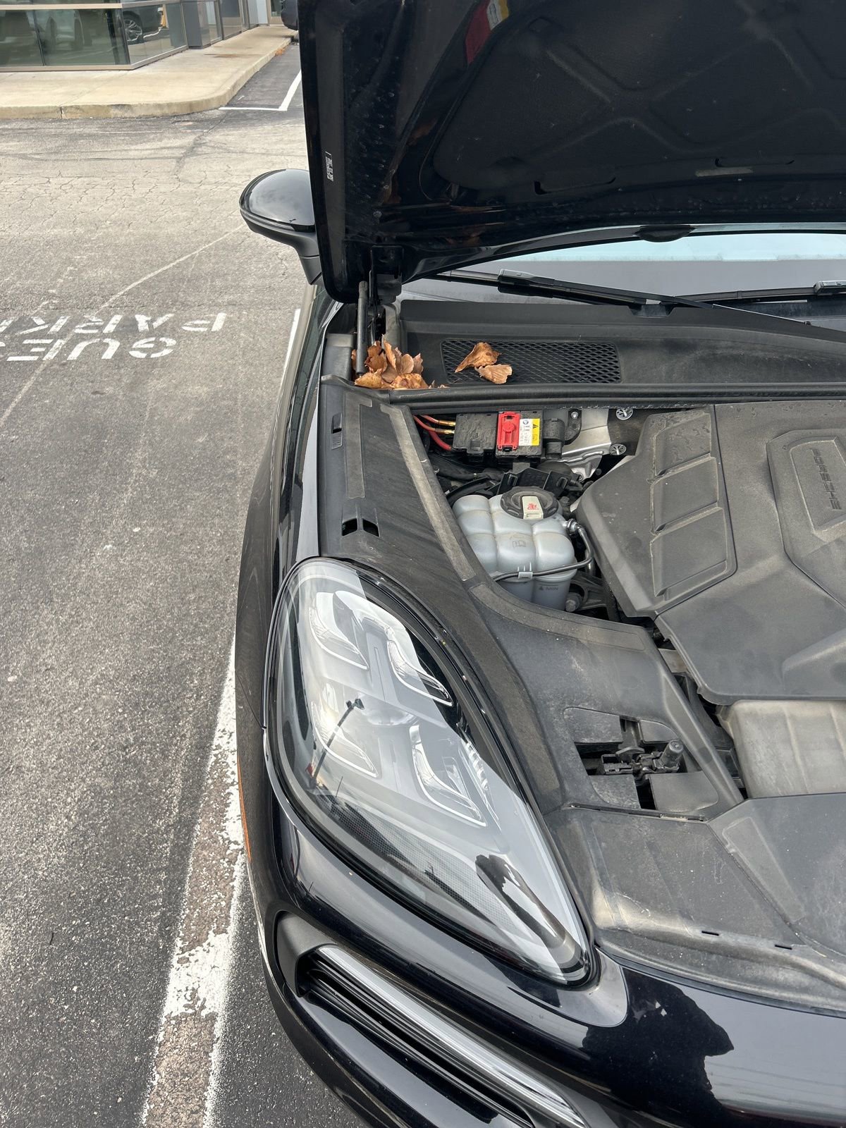 Used 2019 Porsche Cayenne E-Hybrid AWD/4WD image 14