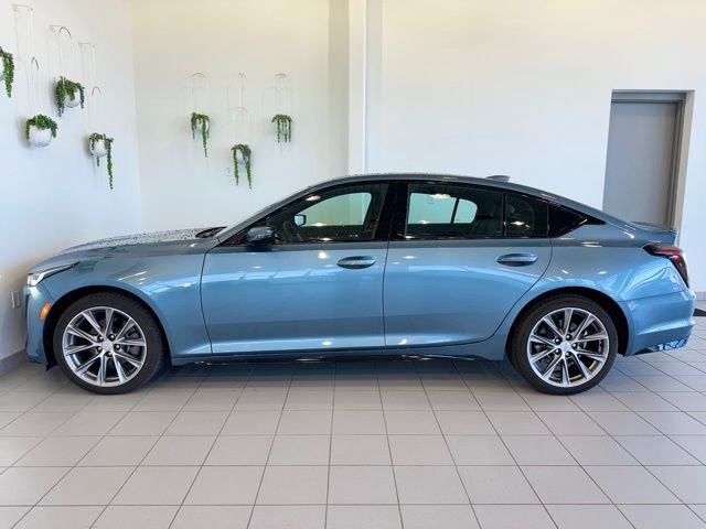 Used 2024 Cadillac CT5 Sport AWD/4WD image 42