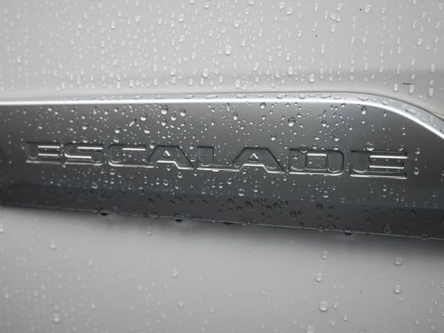 Used 2019 Cadillac Escalade Luxury image 10