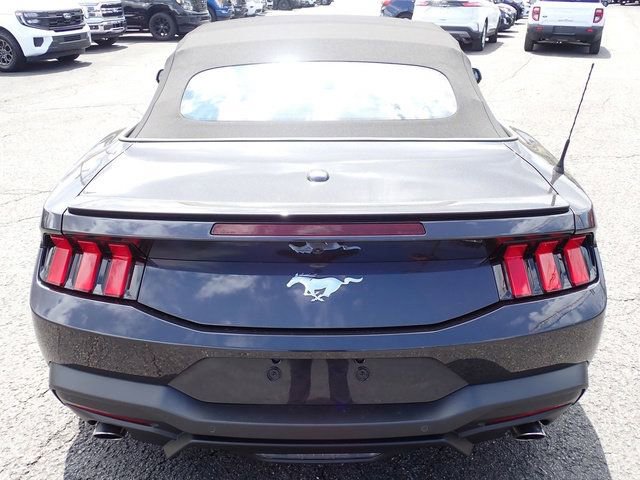 Used 2024 Ford Mustang Premium image 8