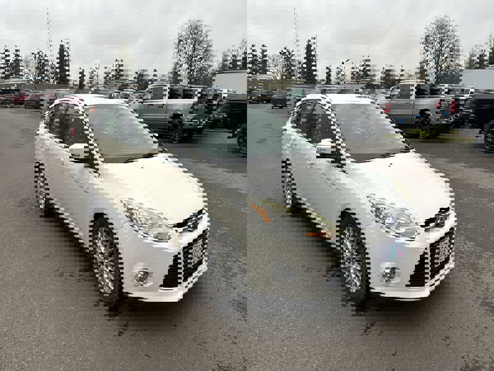 Used 2012 Ford Focus SEL image 5