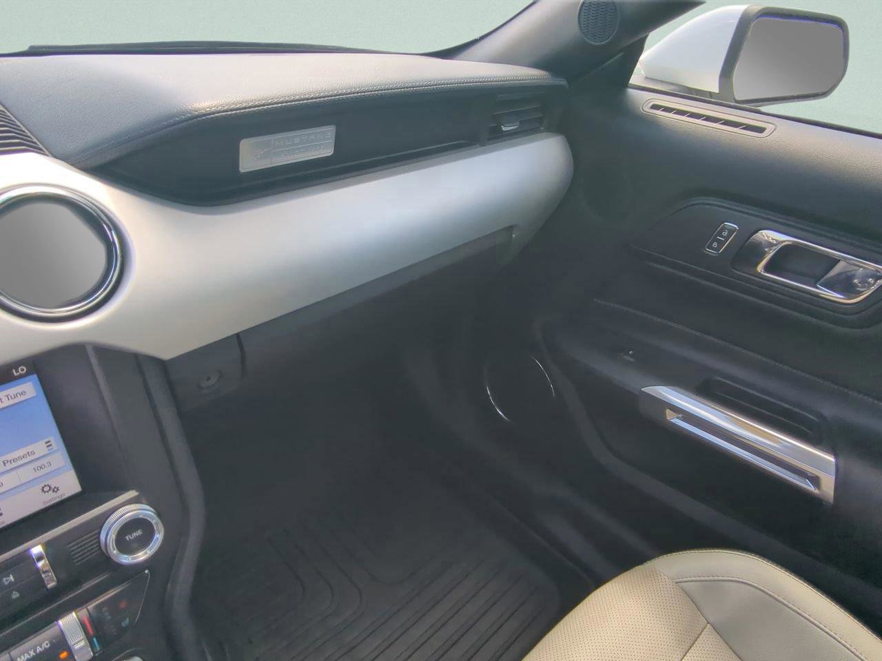 Used 2017 Ford Mustang Premium image 14