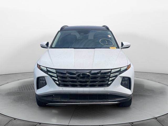 Used 2023 Hyundai Tucson Limited image 8