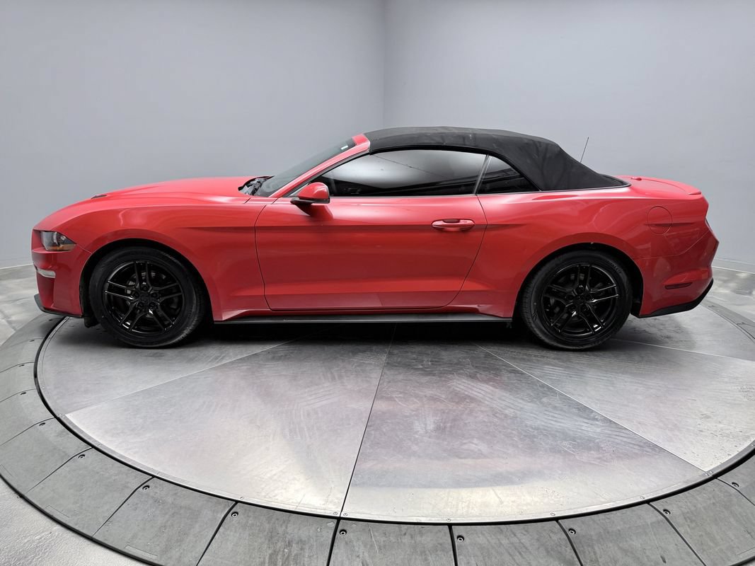 Used 2019 Ford Mustang Premium RWD image 8