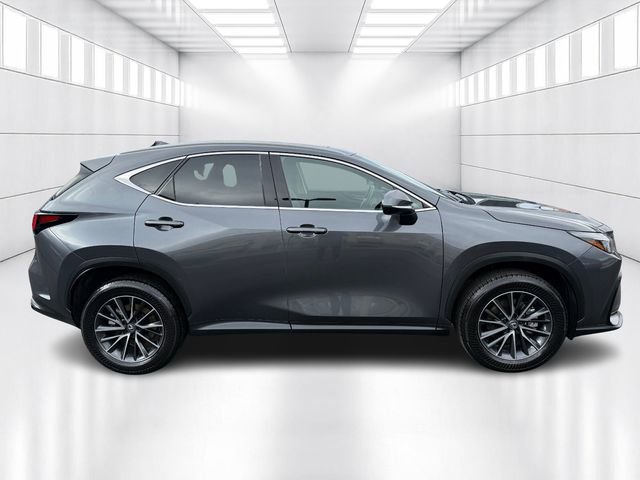 Used 2024 Lexus NX 350 AWD w/ Cold Area Package image 4