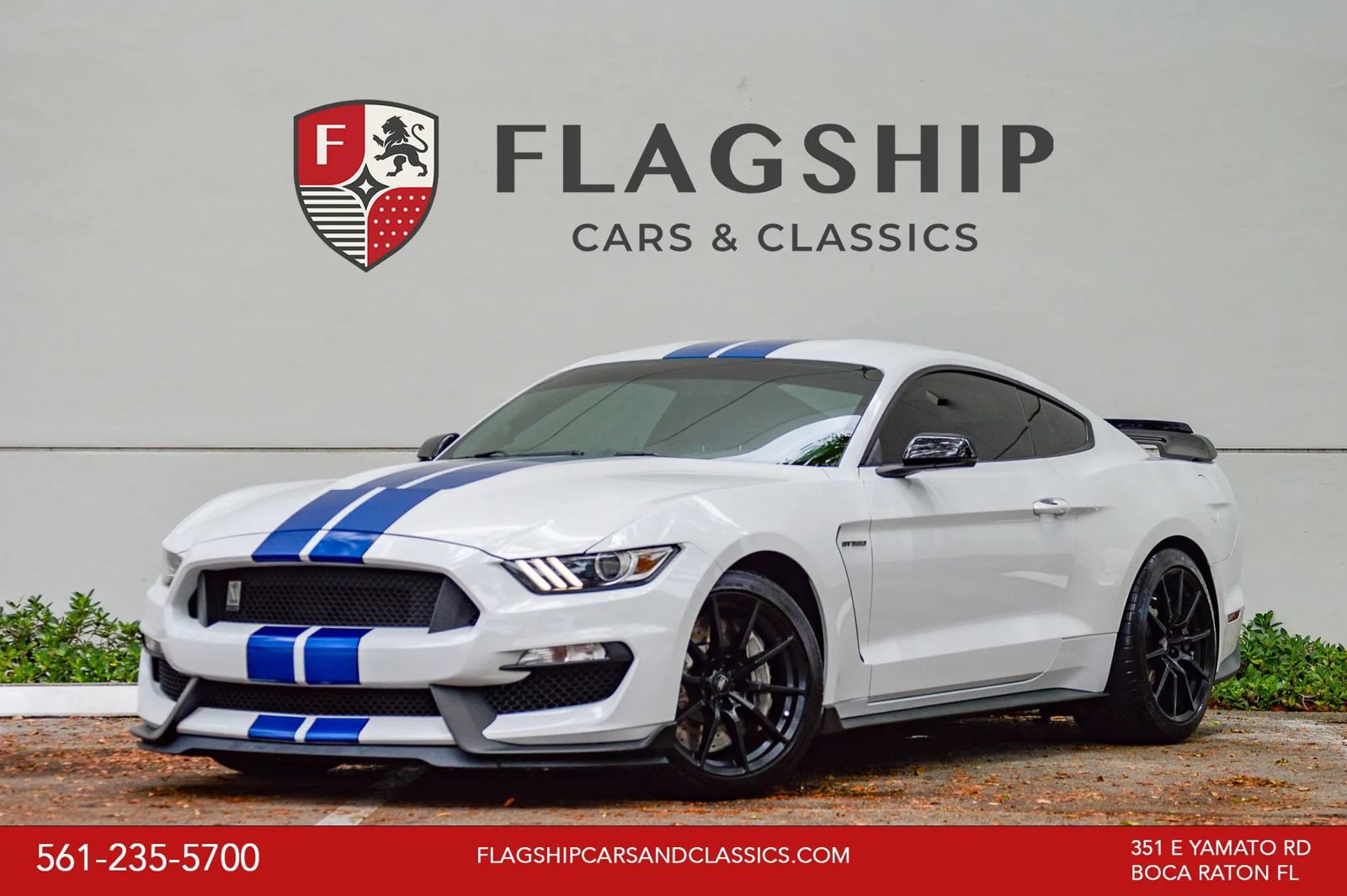 Used 2018 Ford Mustang Shelby GT350 w/ Convenience Package RWD image 1