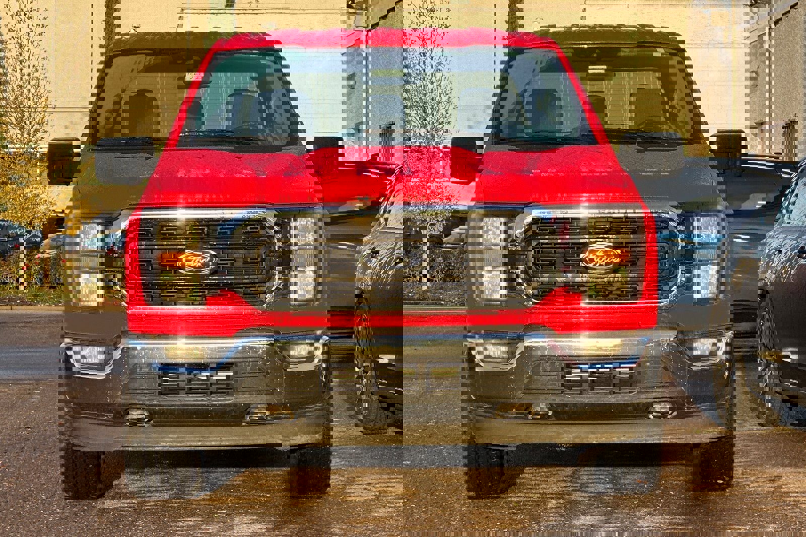 Used 2023 Ford F150 XLT image 6