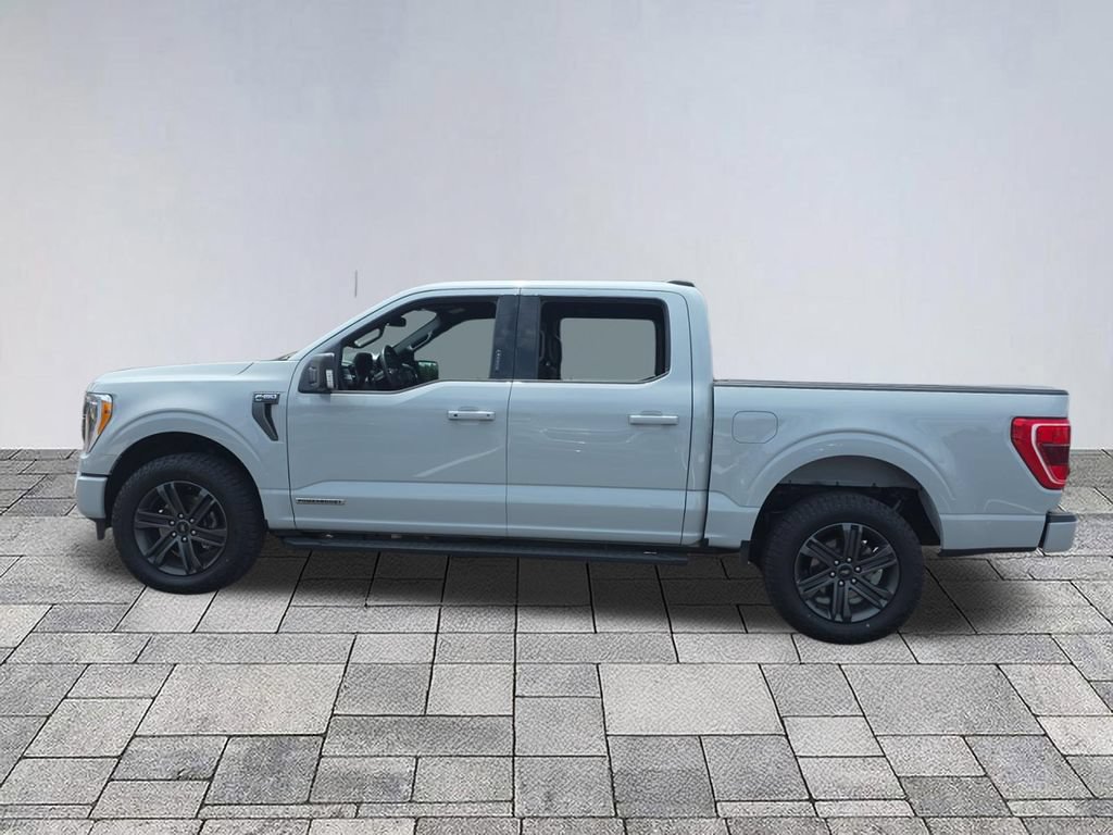Used 2023 Ford F150 XLT w/ Equipment Group 302A High AWD/4WD image 4