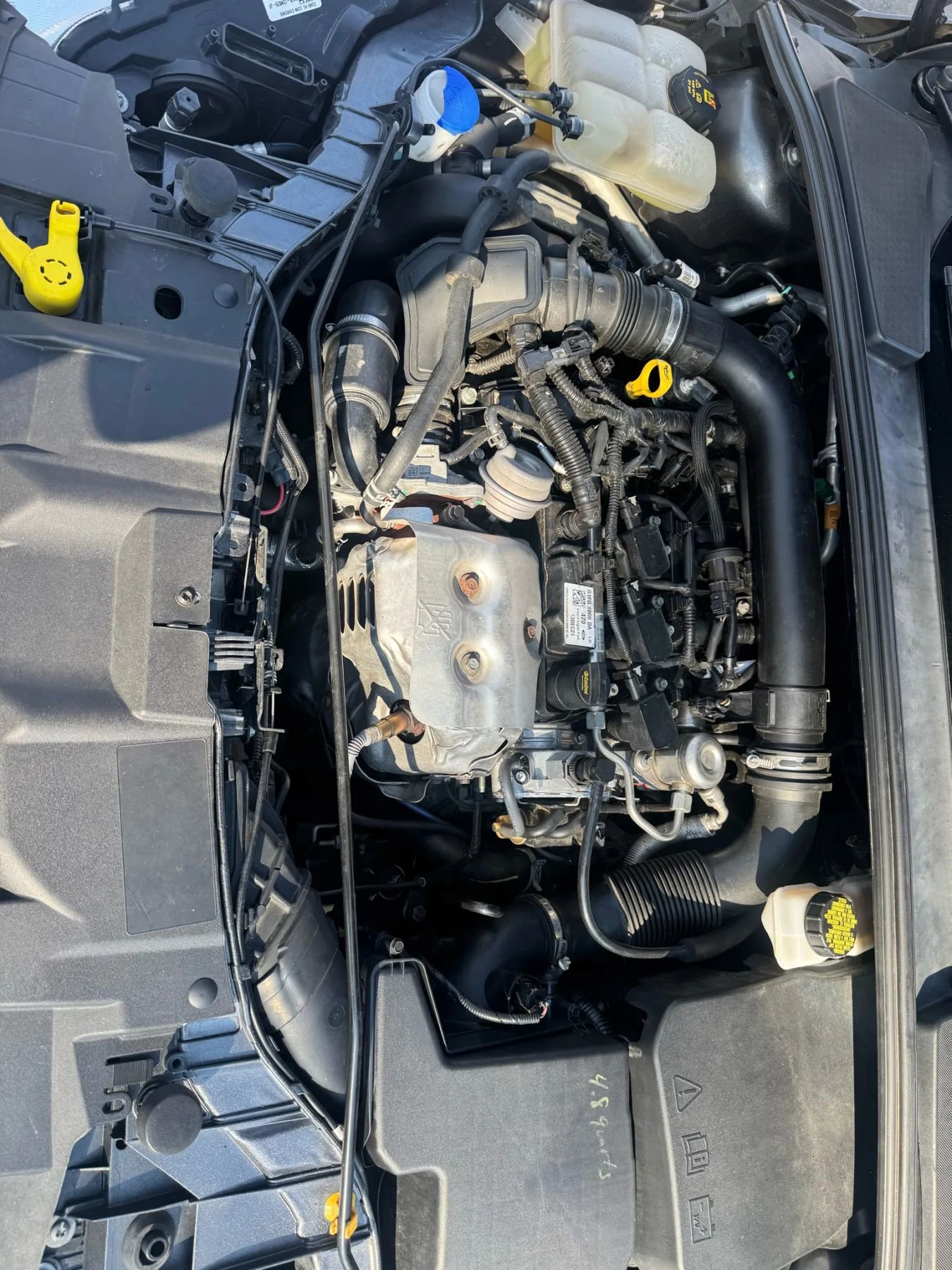 Used 2018 Ford Focus SE image 23