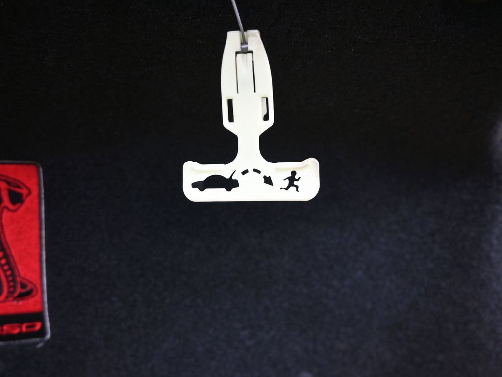 Used 2017 Ford Mustang Shelby GT350R w/ GT350R Equipment Group 920A image 17