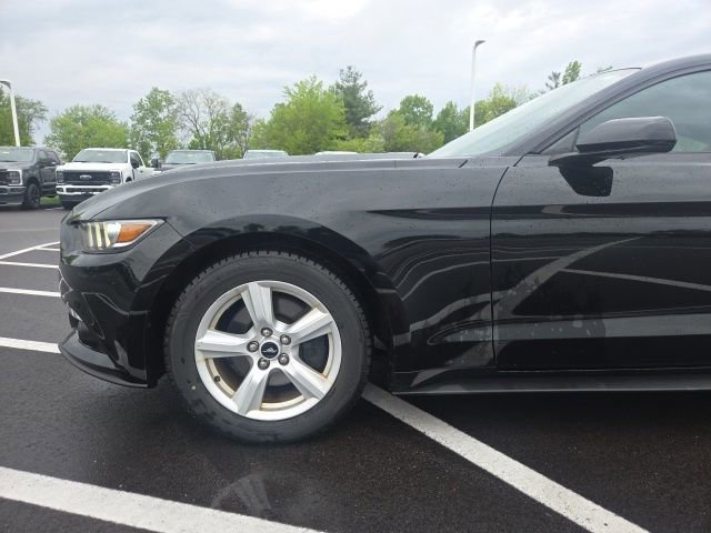 Used 2015 Ford Mustang Coupe w/ Enhanced Security Package RWD image 13