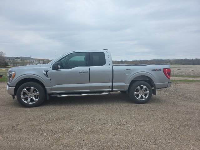 Used 2023 Ford F150 XLT w/ Equipment Group 302A High AWD/4WD image 2