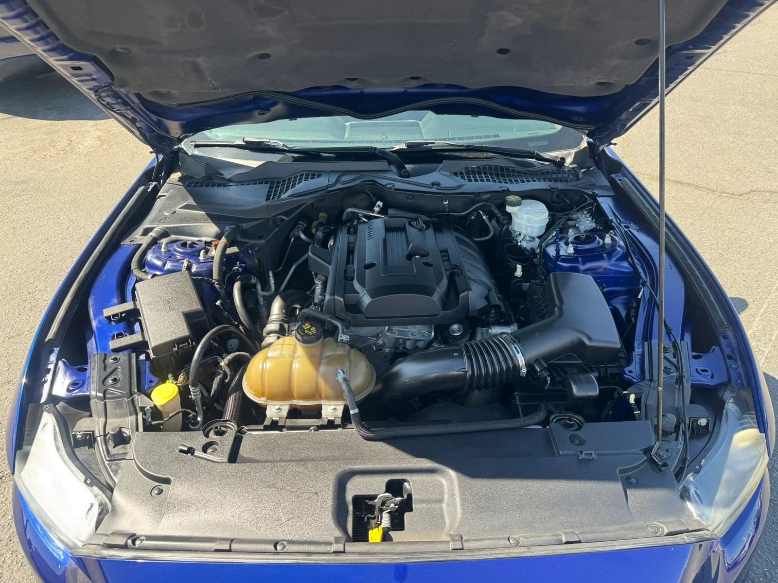 Used 2015 Ford Mustang Premium w/ Equipment Group 201A RWD image 17