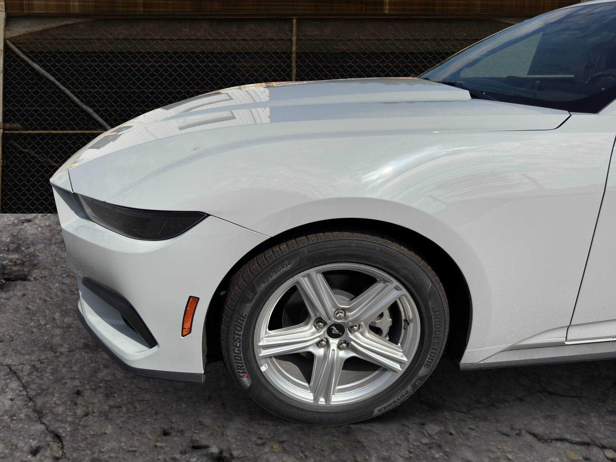 Used 2026 Ford Mustang Coupe RWD image 14