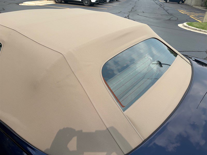 Used 2002 Pontiac Firebird Trans Am RWD image 30