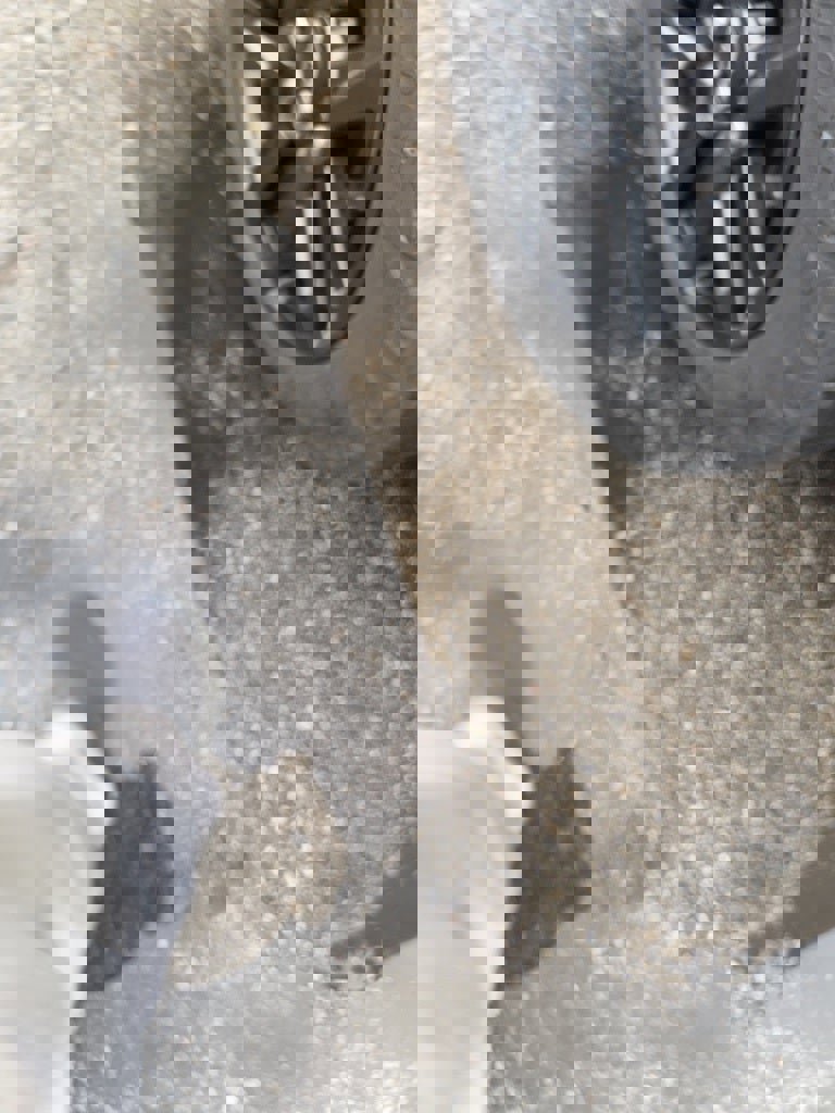 Used 2023 Chevrolet Silverado 1500 Custom Trail Boss w/ LPO, Dark Essentials Package image 3