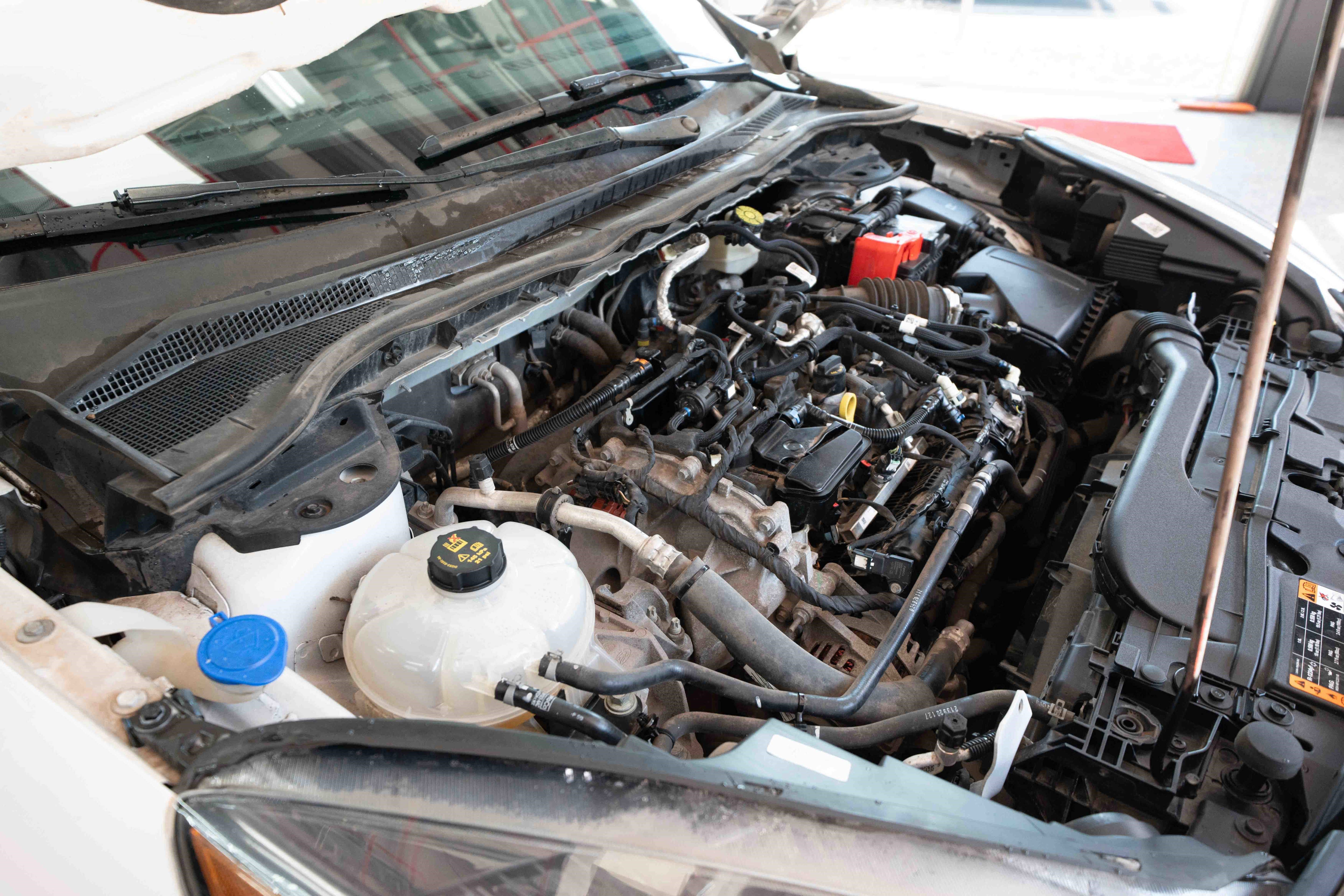 Used 2020 Ford Escape SE image 33