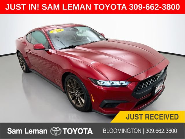 Used 2024 Ford Mustang Premium RWD image 1