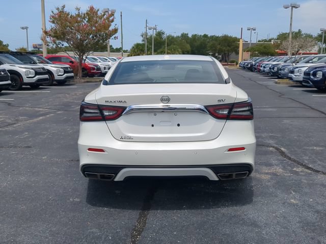 Used 2023 Nissan Maxima SV w/ Floor Mat Group FWD image 6