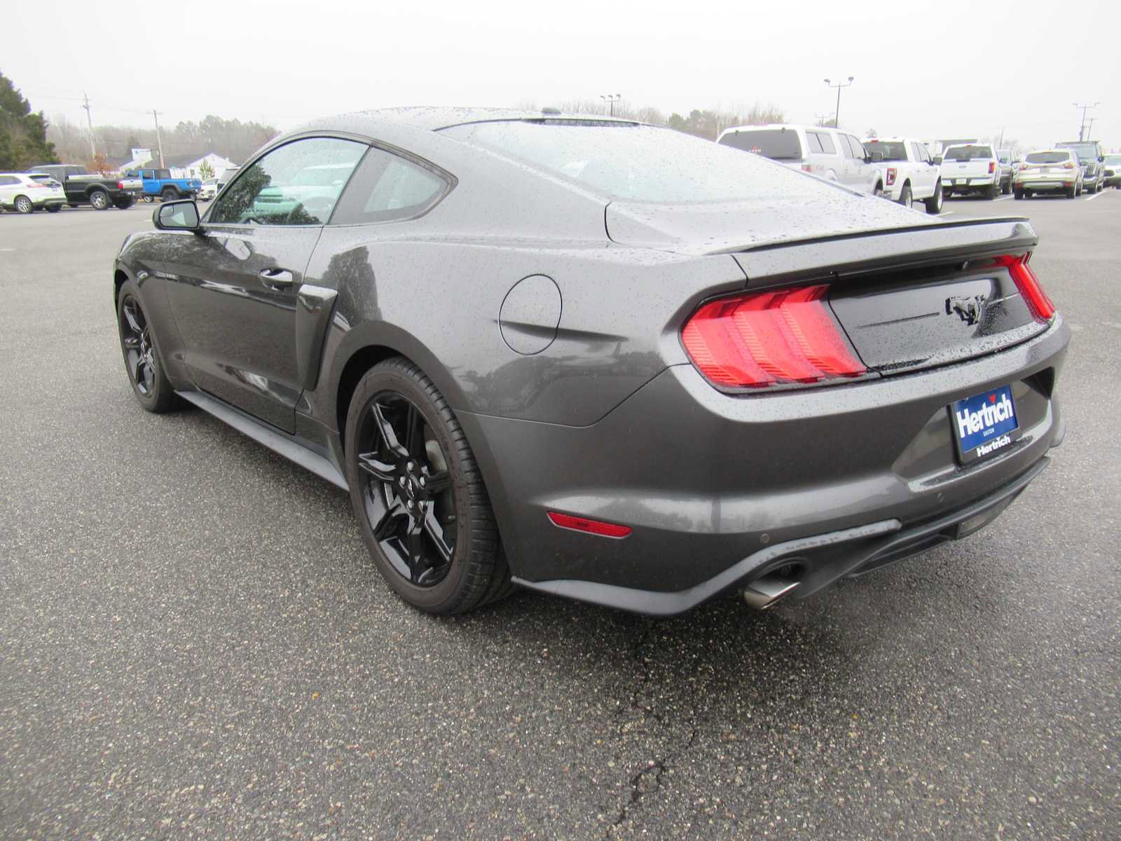 Used 2018 Ford Mustang EcoBoost w/ Equipment Group 101A image 7