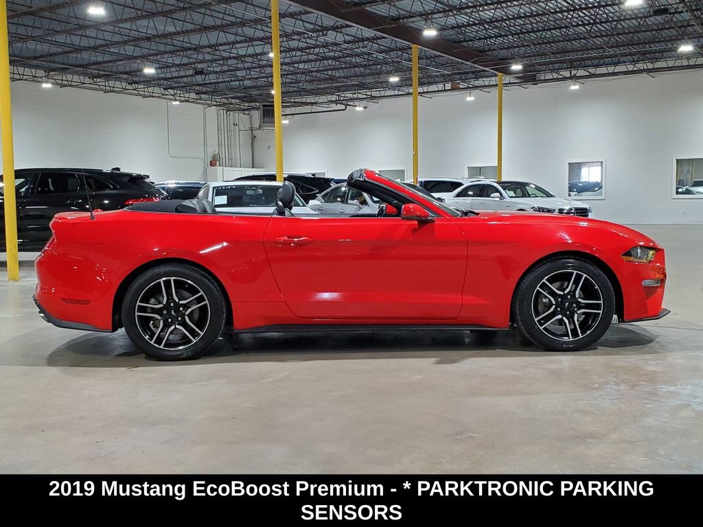 Used 2019 Ford Mustang Premium image 5