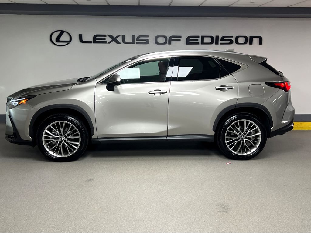 Certified 2026 Lexus NX 350h AWD w/ Accessory Package (2T) image 4