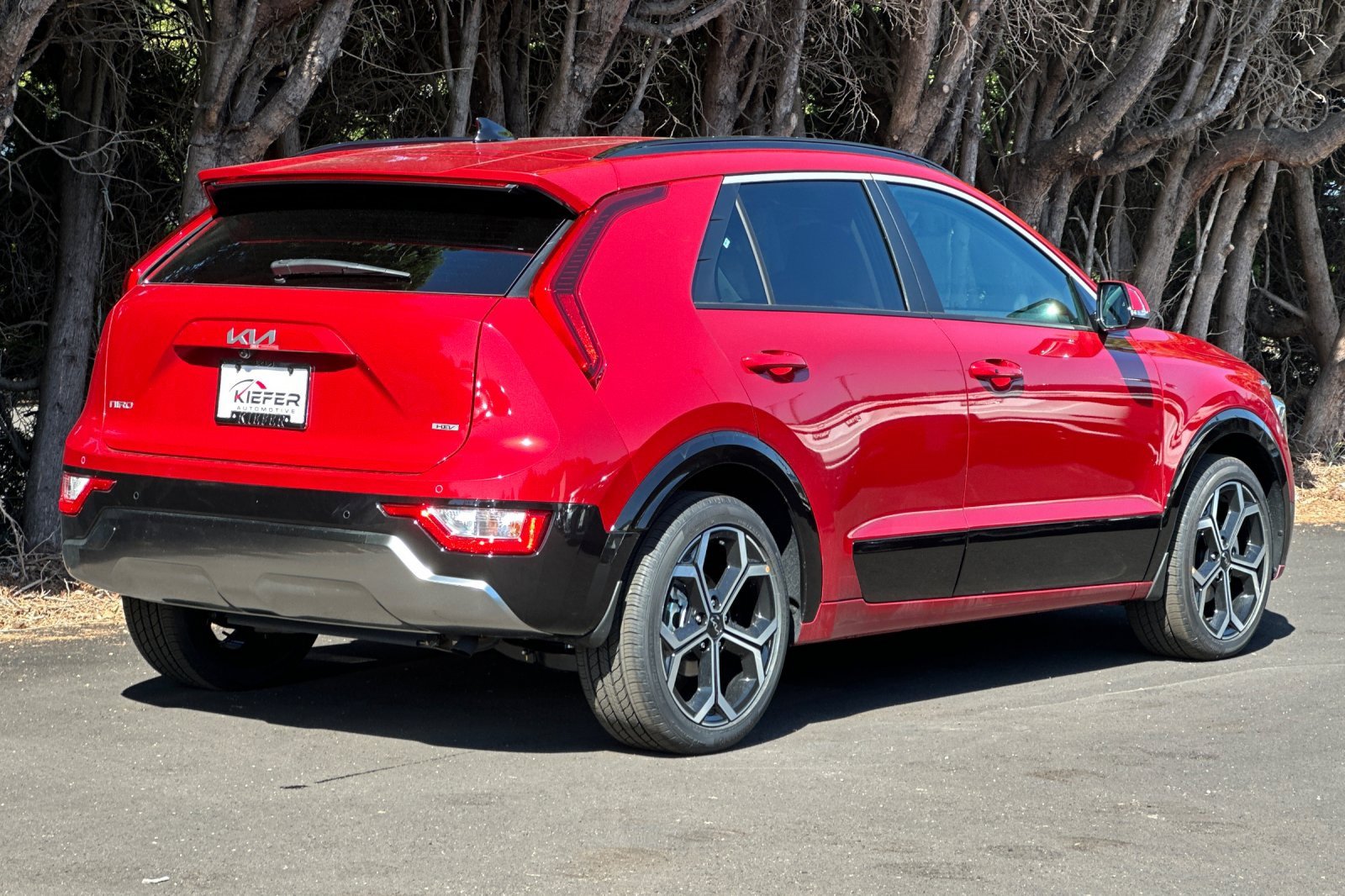 New 2025 Kia Niro EX Touring image 3