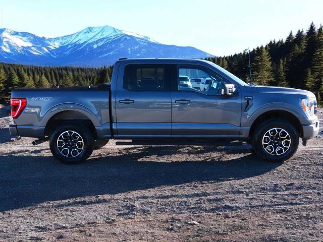 Certified 2023 Ford F150 XLT w/ Equipment Group 302A High image 7