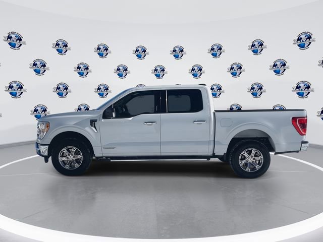 Used 2021 Ford F150 XLT w/ Equipment Group 302A High image 6