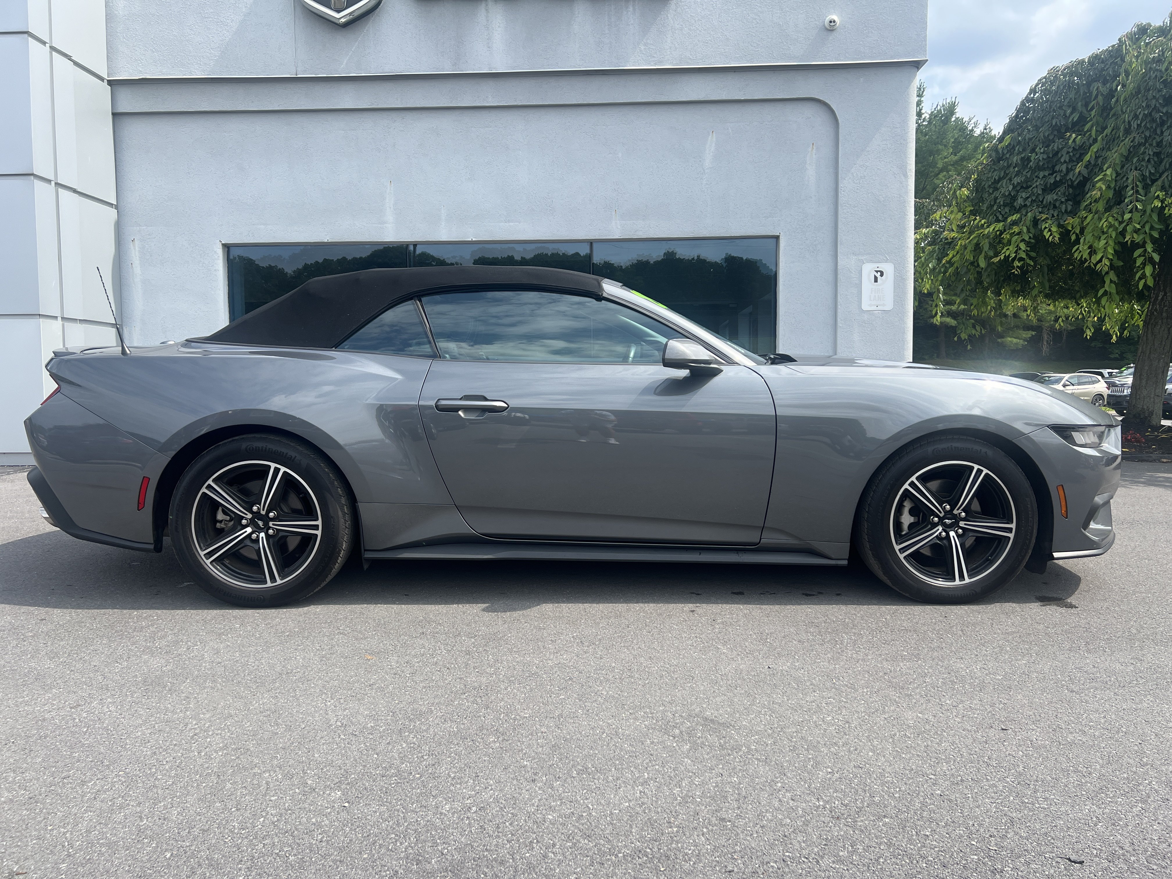 Used 2025 Ford Mustang Premium RWD image 2