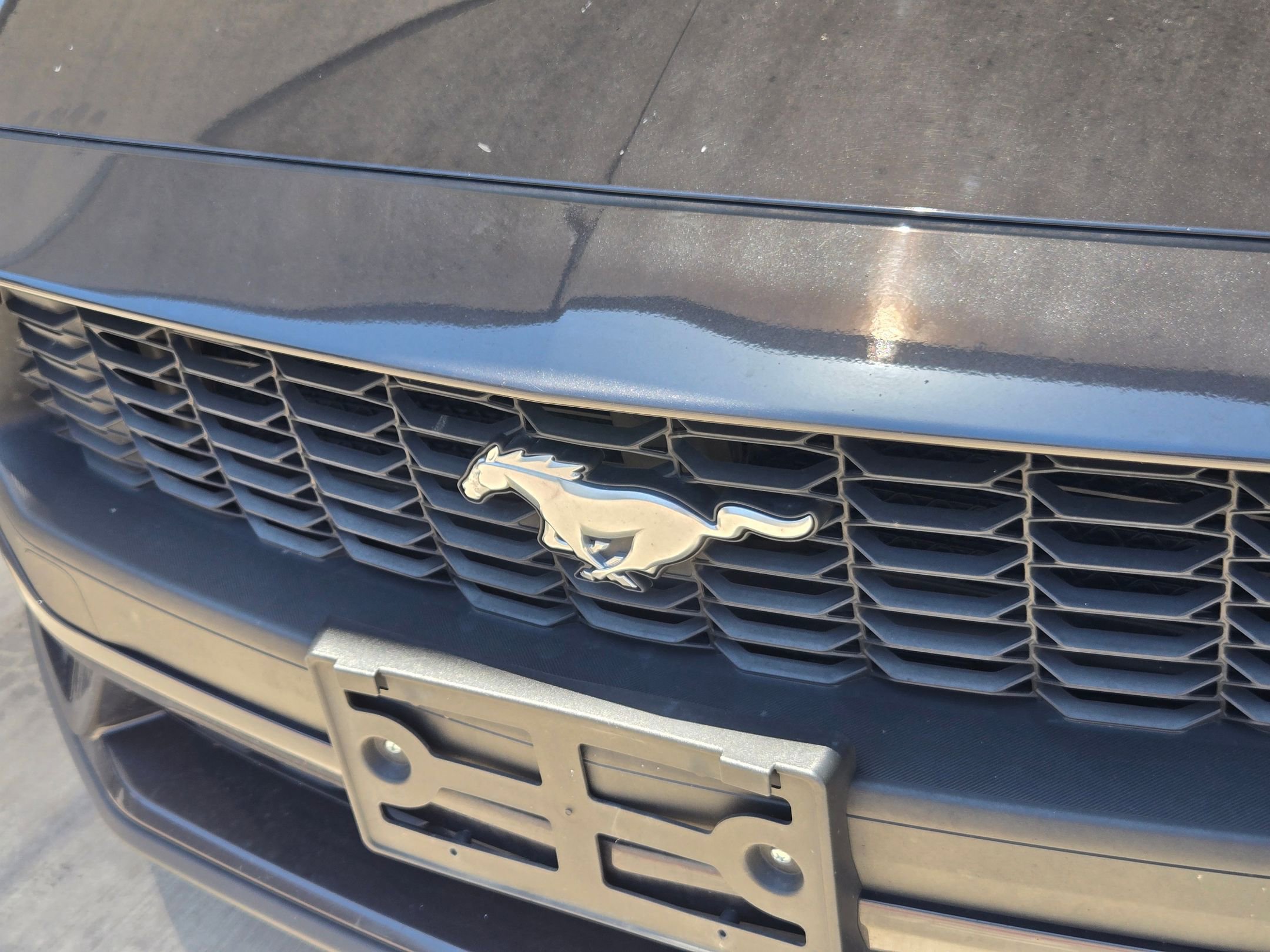 Used 2024 Ford Mustang Premium RWD image 3