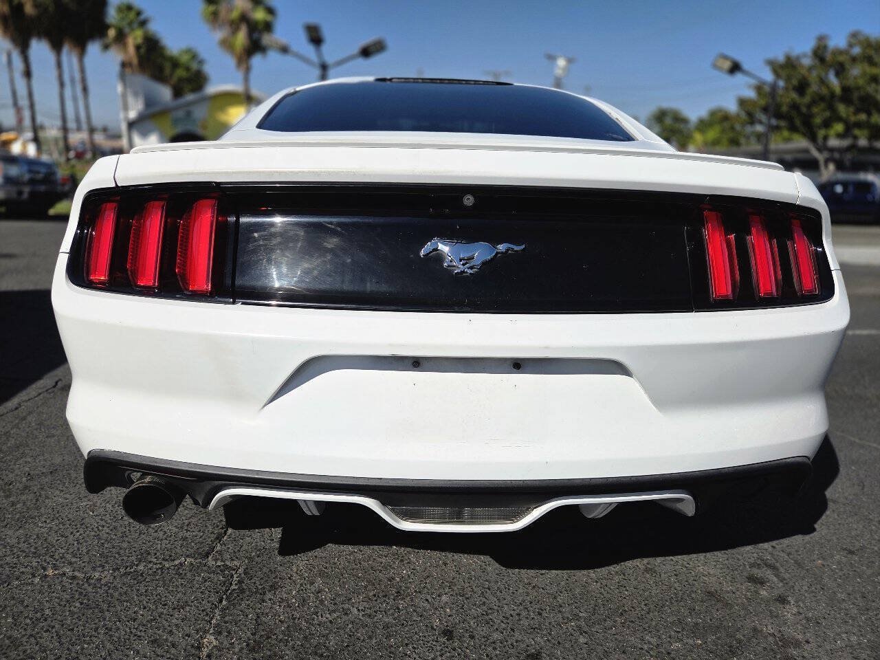 Used 2017 Ford Mustang Coupe w/ Interior & Wheel Package RWD image 13