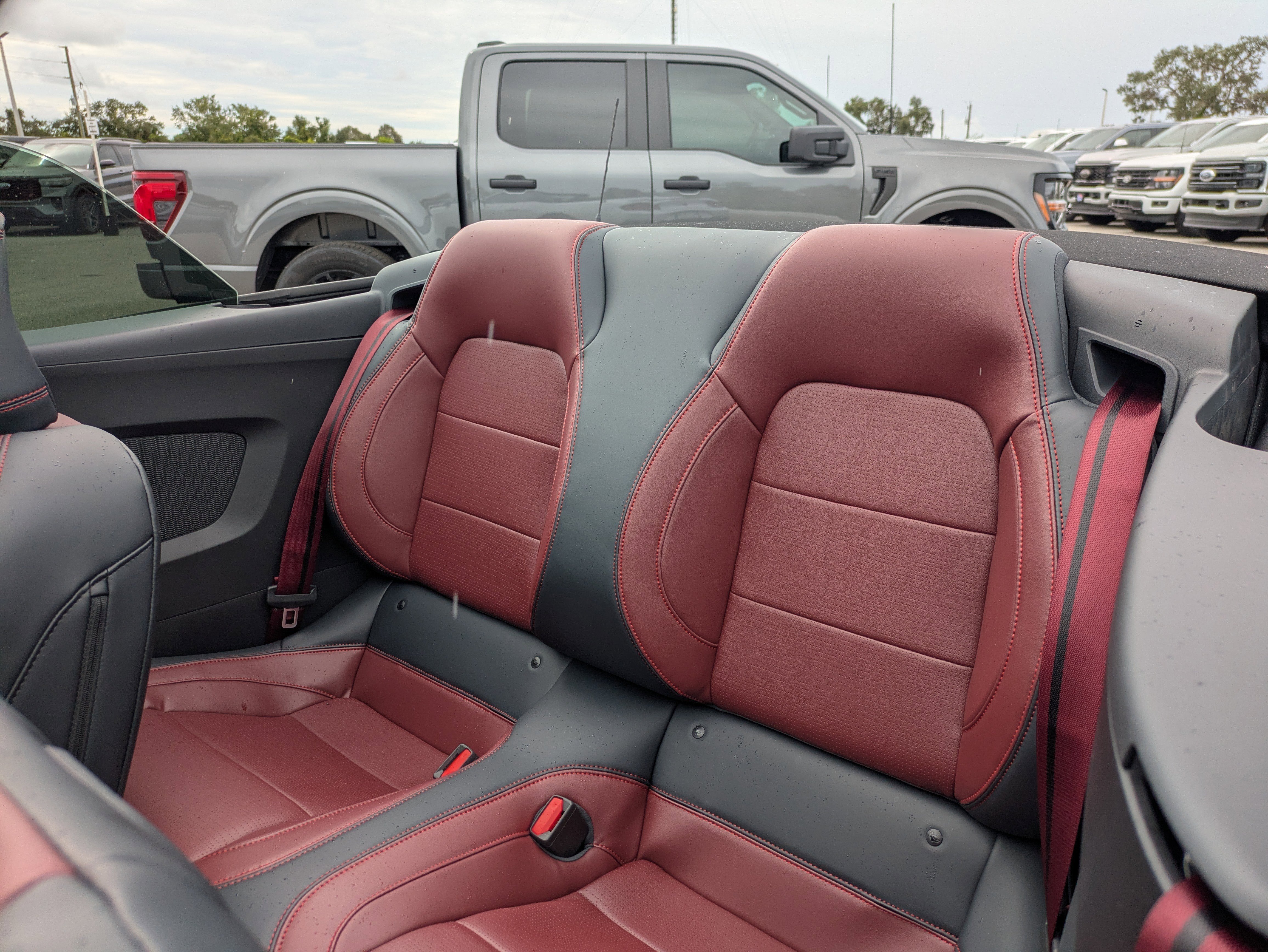 New 2025 Ford Mustang Premium image 15