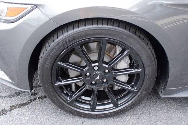 Used 2016 Ford Mustang GT Premium w/ Equipment Group 401A RWD image 10
