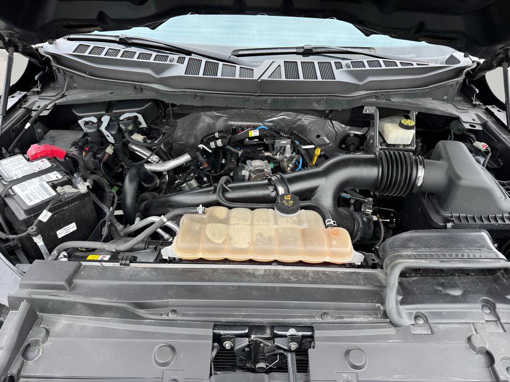 Used 2022 Ford F150 XL w/ STX Appearance Package AWD/4WD image 9
