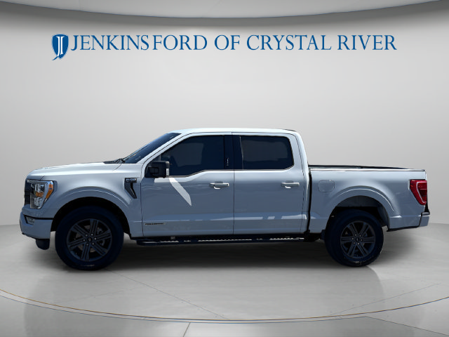 Certified 2023 Ford F150 XLT w/ Equipment Group 302A High AWD/4WD image 11
