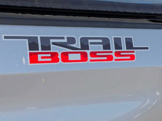 Used 2019 Chevrolet Silverado 1500 LT Trail Boss image 12