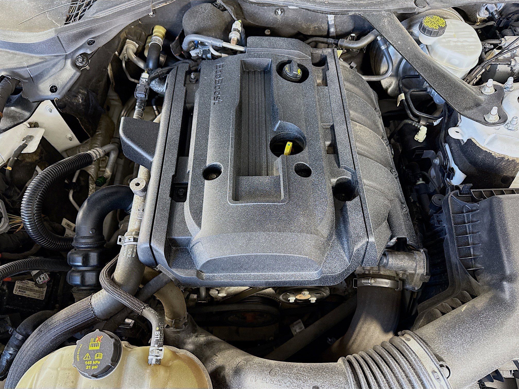 Used 2018 Ford Mustang Premium image 37