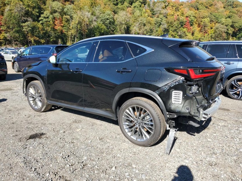 Used 2025 Lexus NX 350h AWD w/ Premium Package image 4