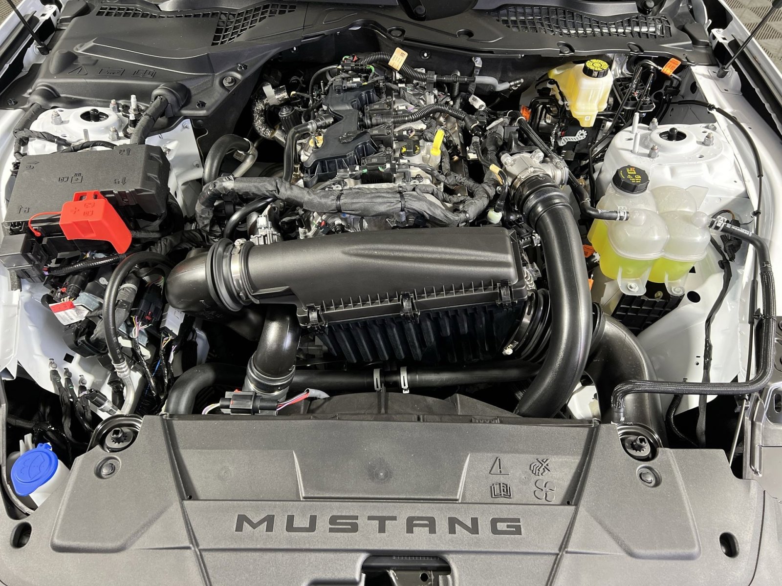 New 2026 Ford Mustang Coupe image 26