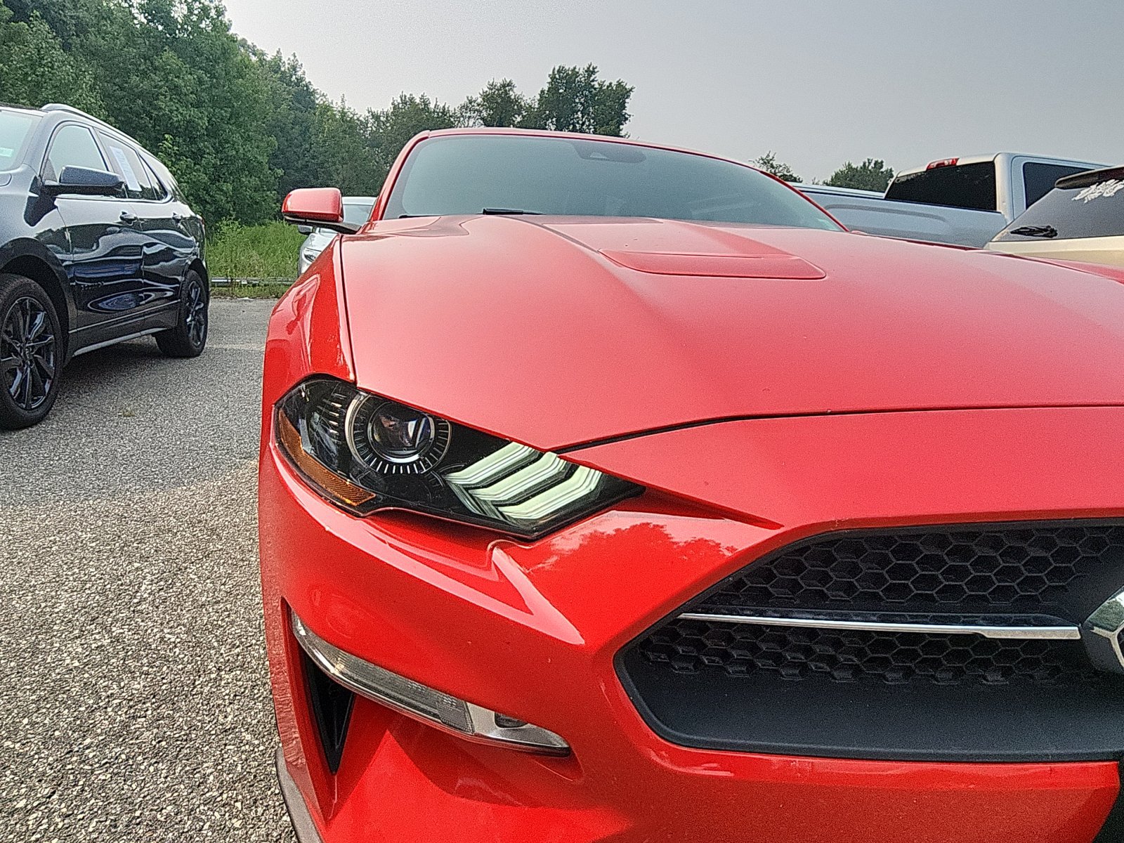 Used 2019 Ford Mustang Premium w/ Equipment Group 201A RWD image 9
