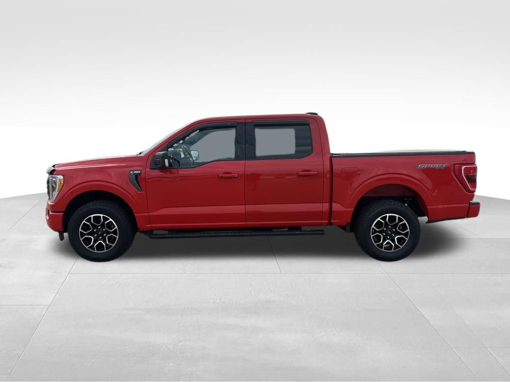 Used 2023 Ford F150 XLT w/ Equipment Group 302A High AWD/4WD image 51