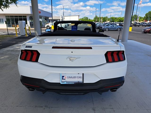 Used 2025 Ford Mustang Premium RWD image 11