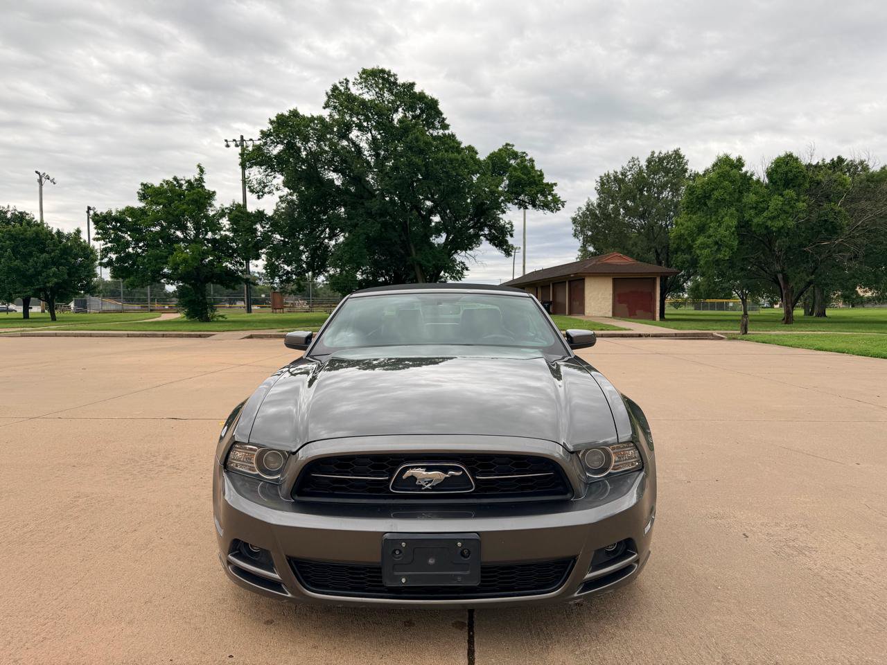 Used 2014 Ford Mustang Premium w/ Equipment Group 202A RWD image 5