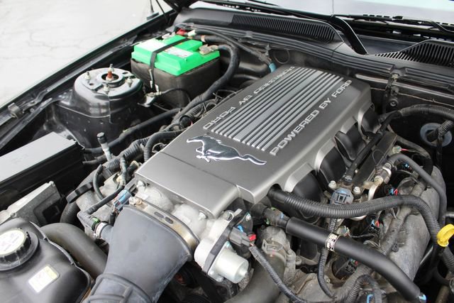 Used 2009 Ford Mustang GT Premium image 9