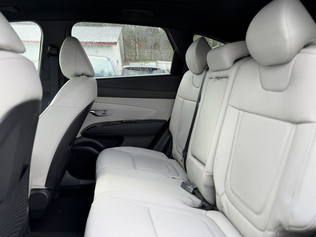 New 2026 Hyundai Tucson Limited image 6