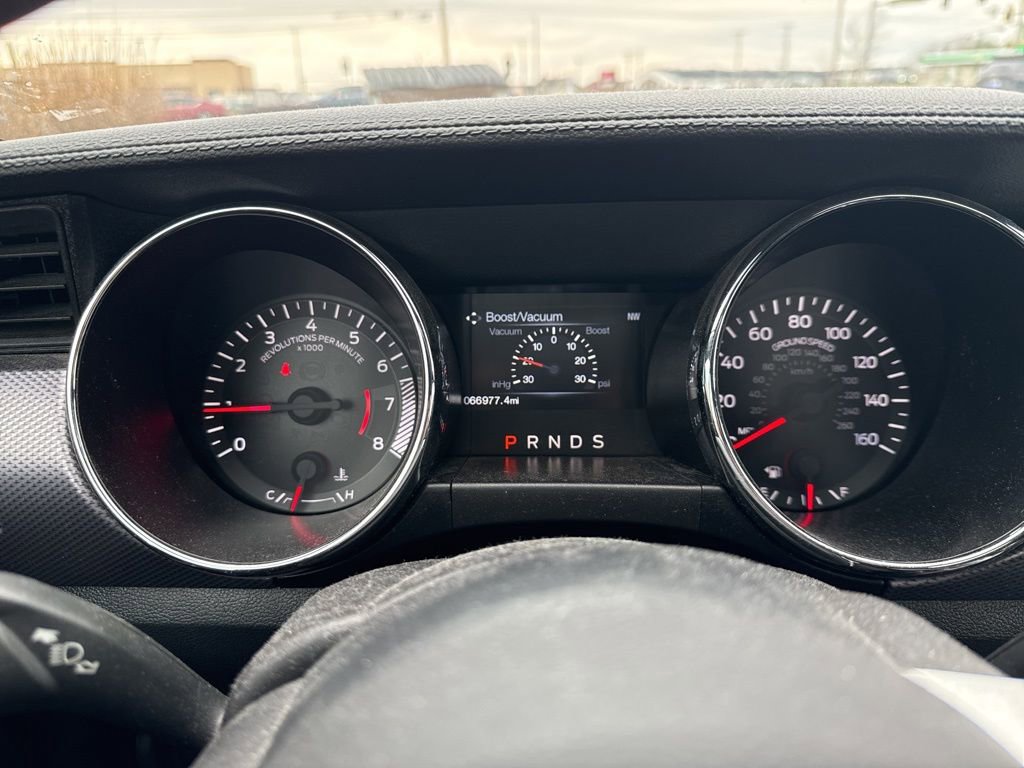 Used 2017 Ford Mustang EcoBoost image 5