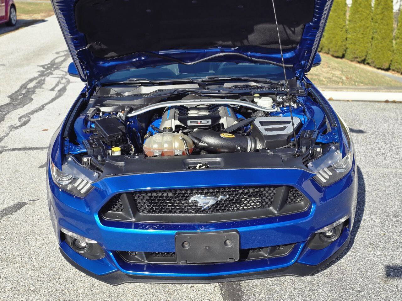 Used 2017 Ford Mustang GT image 10