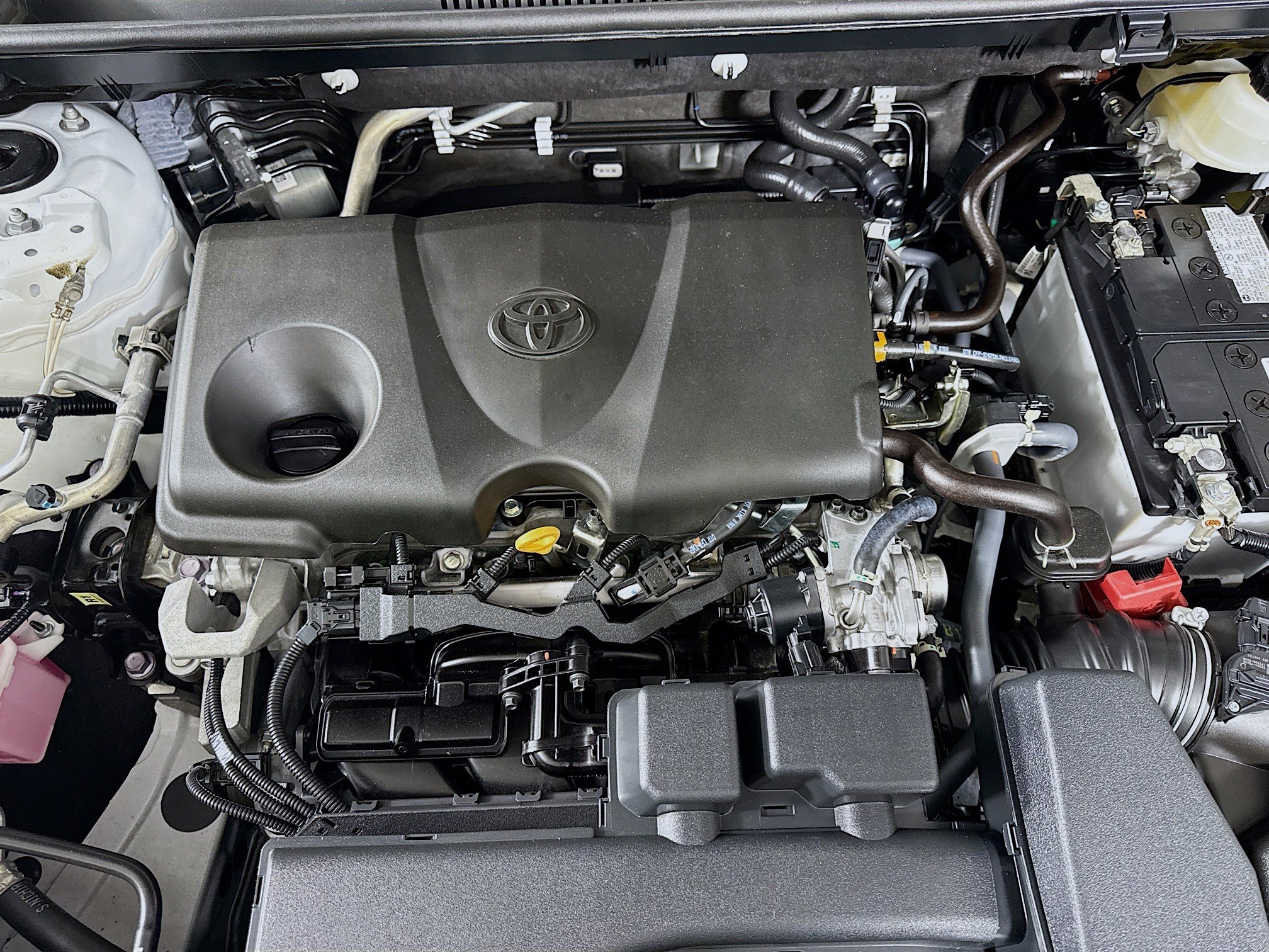 Used 2024 Toyota RAV4 LE image 38